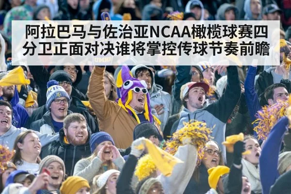 college football stadium crowd